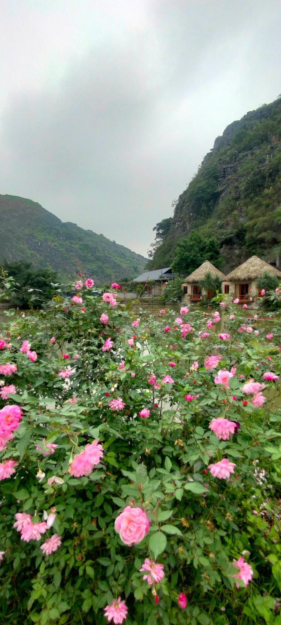 Hang Mua Eco Garden Xuan Son Екстериор снимка