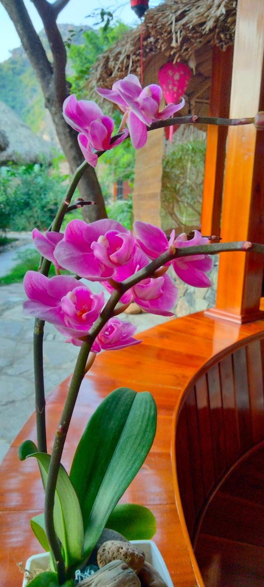 Hang Mua Eco Garden Xuan Son Екстериор снимка