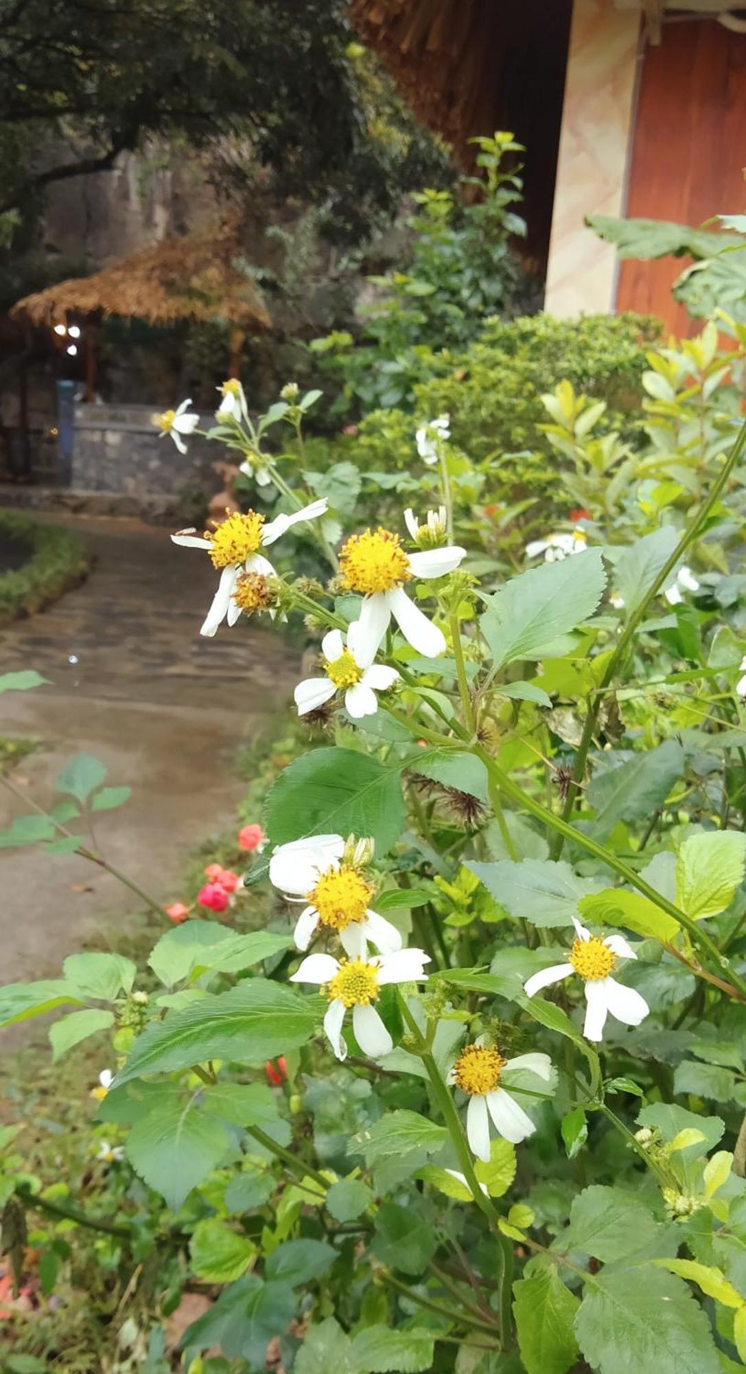 Hang Mua Eco Garden Xuan Son Екстериор снимка
