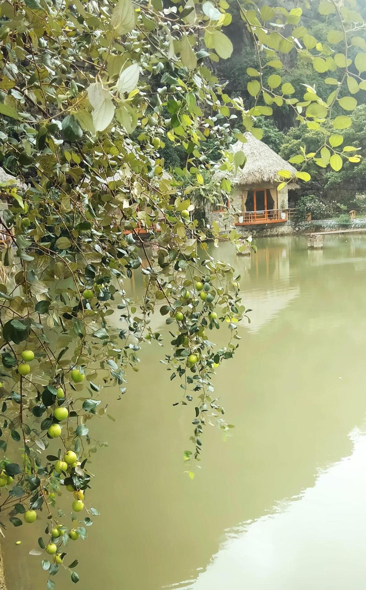 Hang Mua Eco Garden Xuan Son Екстериор снимка