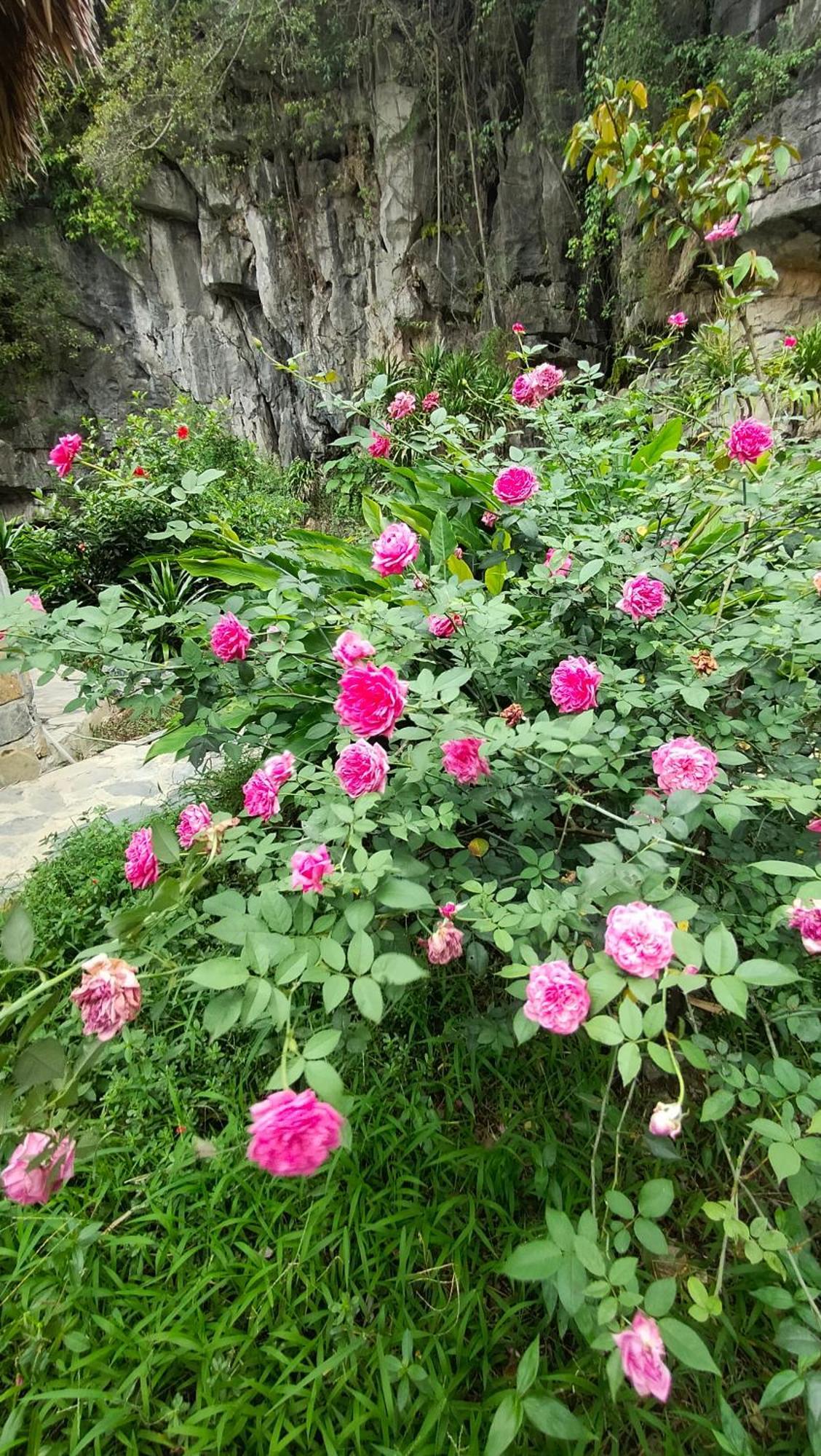 Hang Mua Eco Garden Xuan Son Екстериор снимка