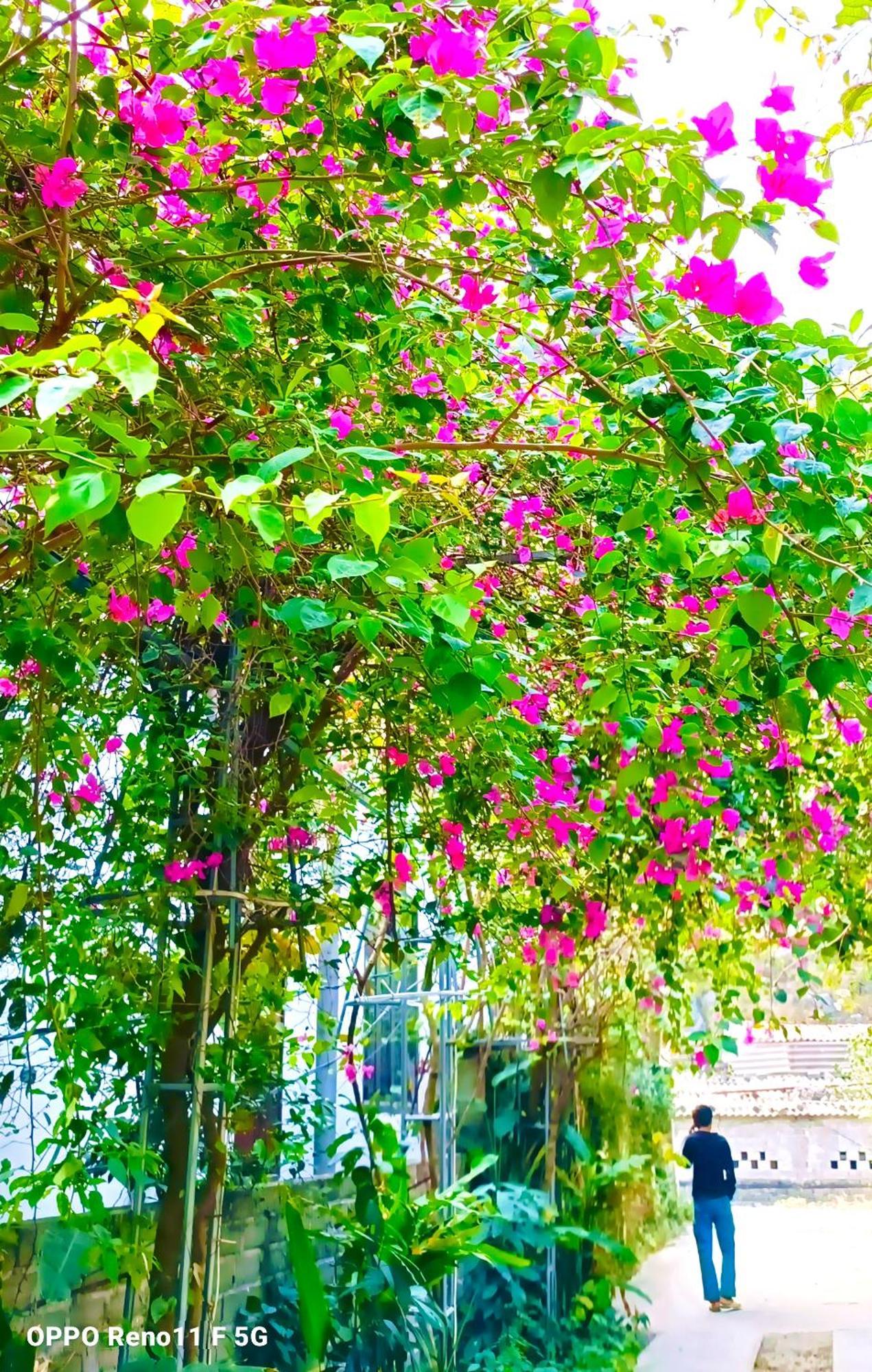 Hang Mua Eco Garden Xuan Son Екстериор снимка